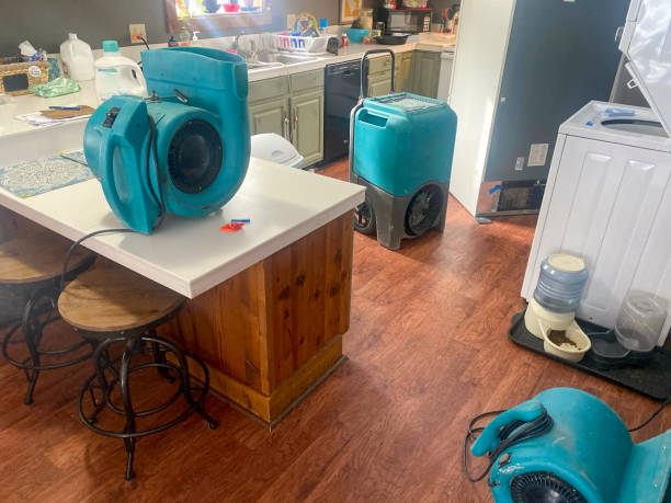 Best 24-hour water damage restoration  in Waimalu, HI
