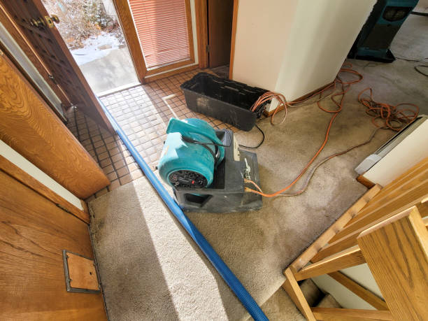 Best 24/7 water damage repair  in Waimalu, HI