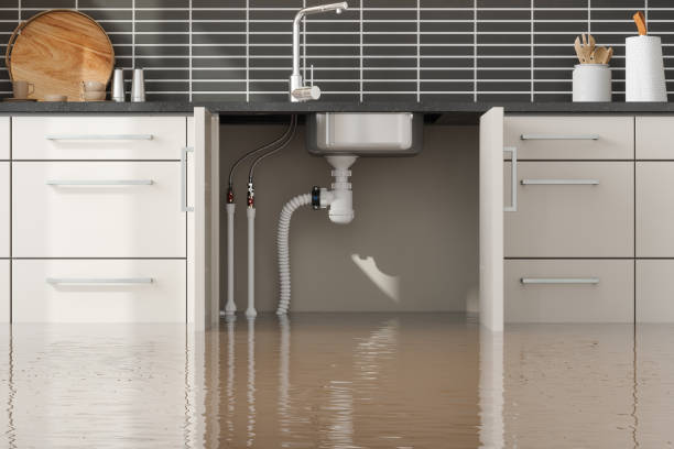 Best Water damage restoration near me  in Waimalu, HI